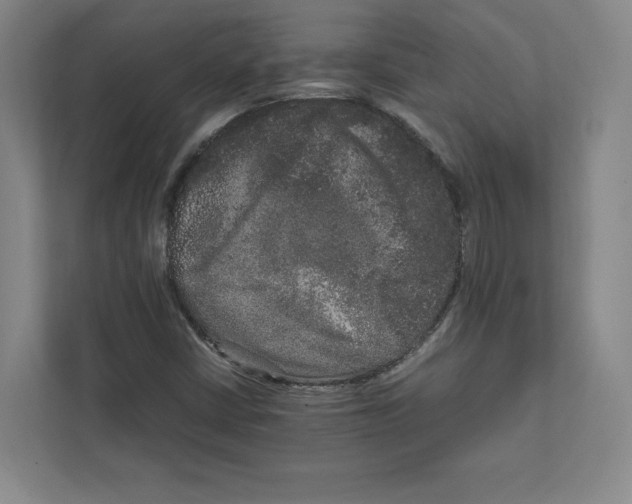 X0000111811402200908201101