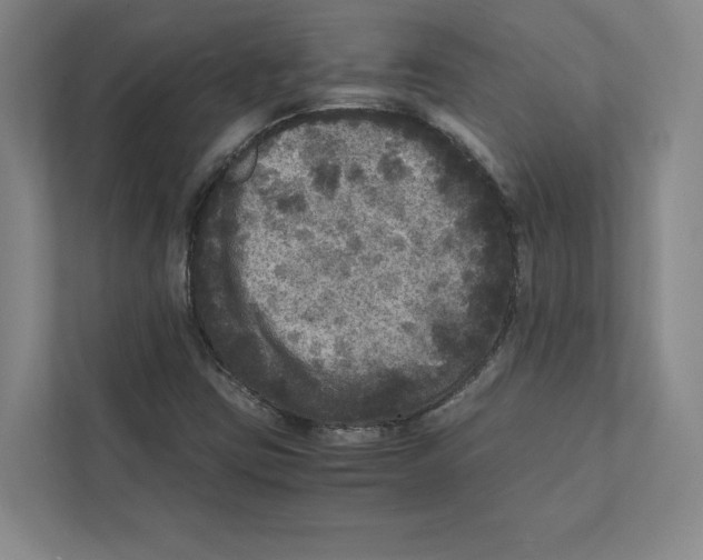 X0000111811403200908201101