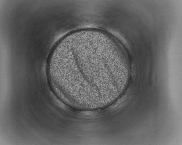 X0000111811404200908201101