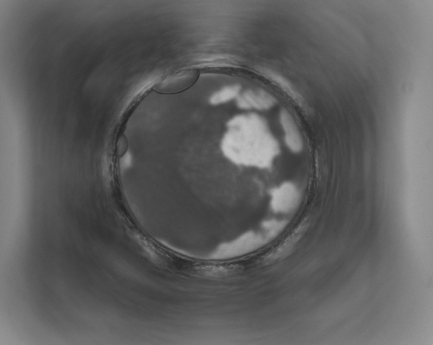 X0000111811405200908201101