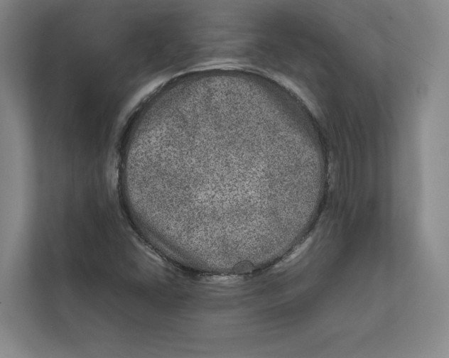 X0000111811406200908201101