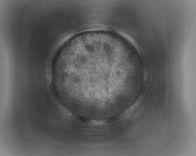 X0000111811407200908201101