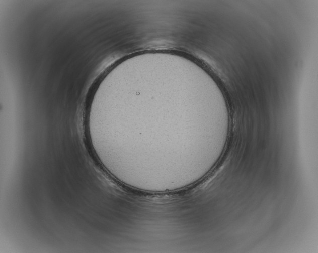 X0000111811410200908201101