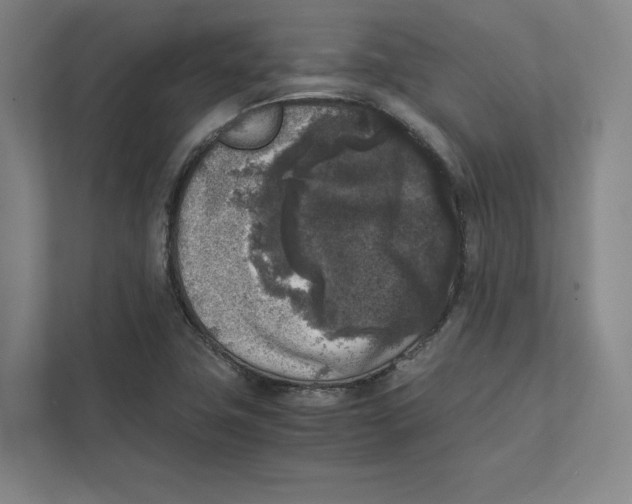 X0000111811411200908201101