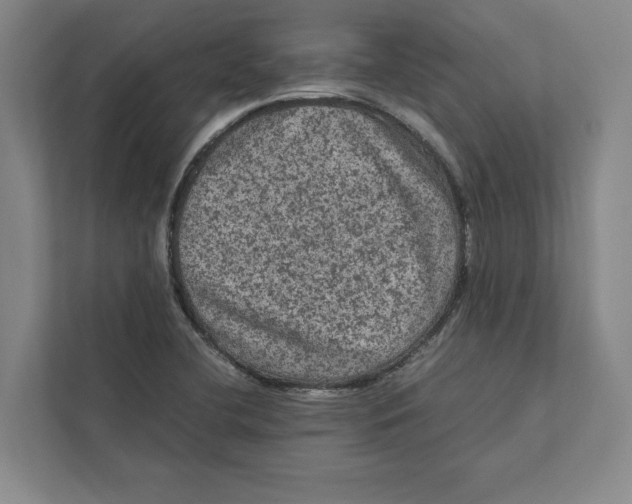 X0000111811412200908201101