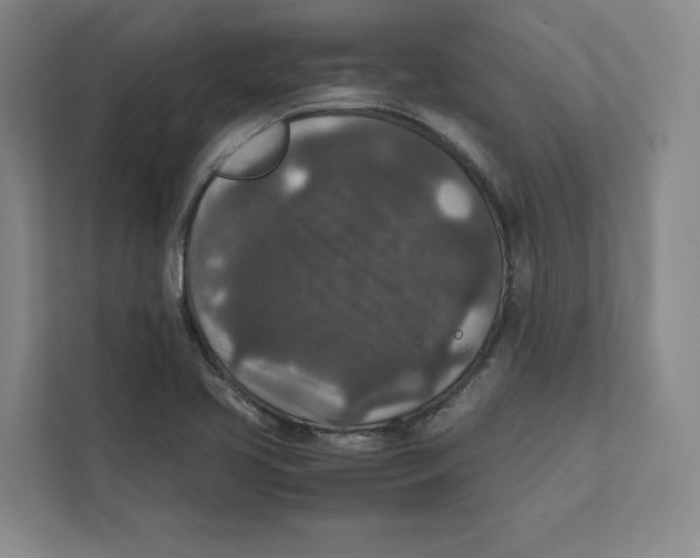 X0000111811413200908201101