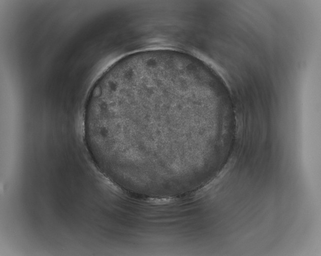 X0000111811415200908201101