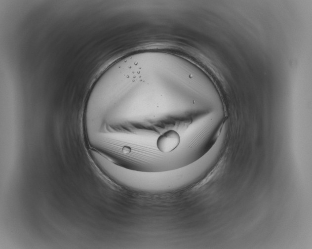 X0000111811417200908201101