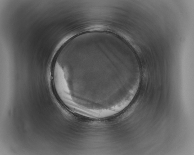 X0000111811418200908201101