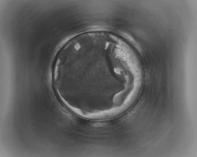 X0000111811419200908201101