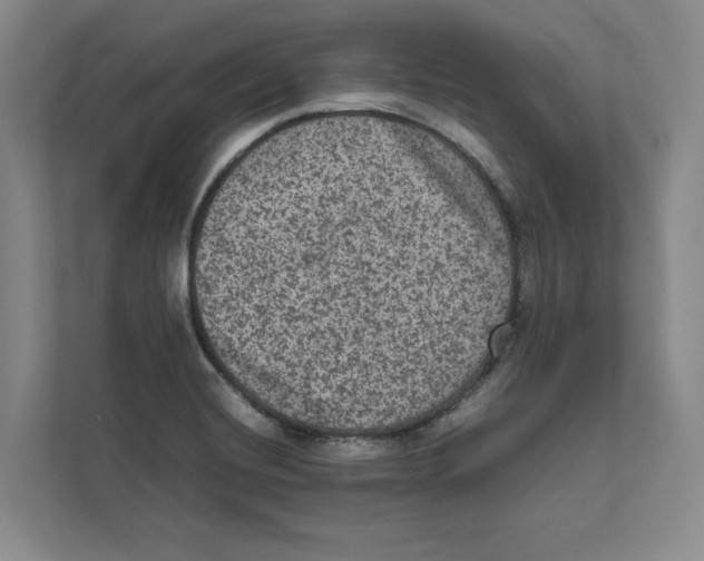 X0000111811420200908201101