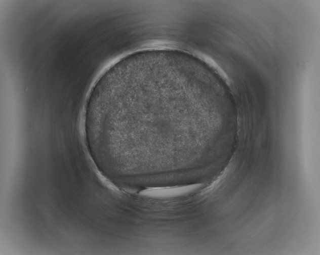 X0000111811421200908201101