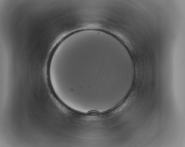 X0000111811422200908201101