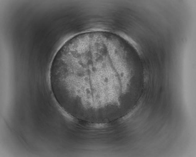 X0000111811423200908201101