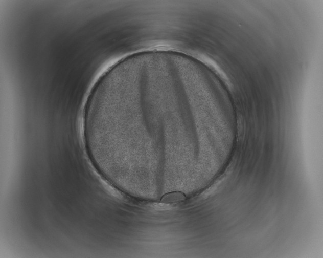 X0000111811424200908201101