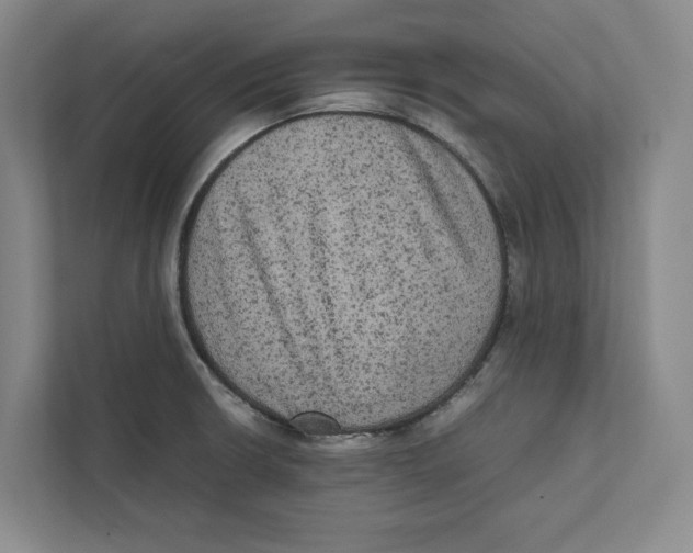 X0000111811426200908201101