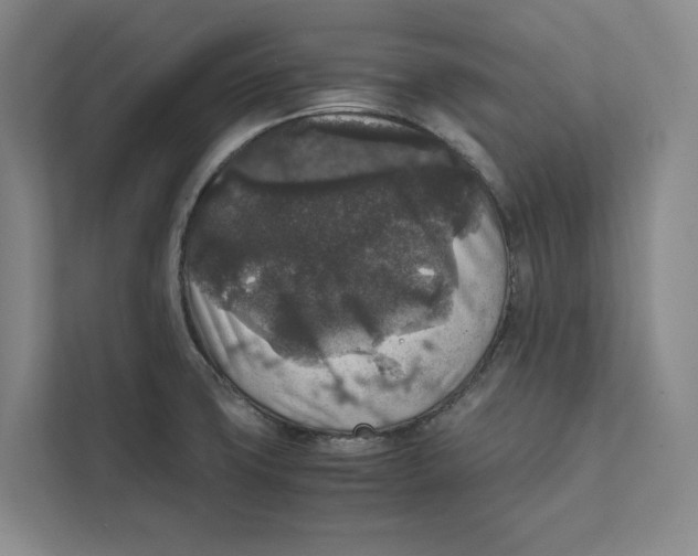 X0000111811427200908201101