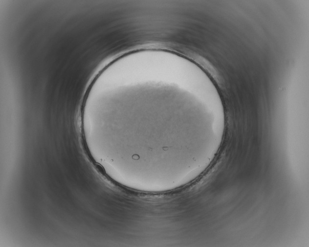 X0000111811428200908201101