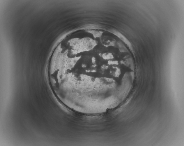 X0000111811429200908201101