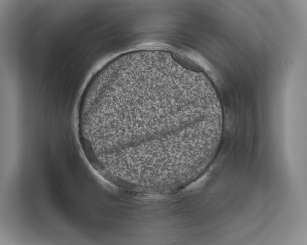 X0000111811430200908201101