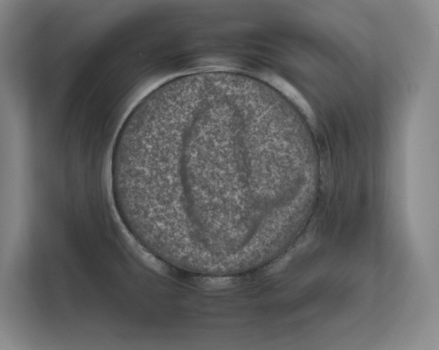 X0000111811431200908201101
