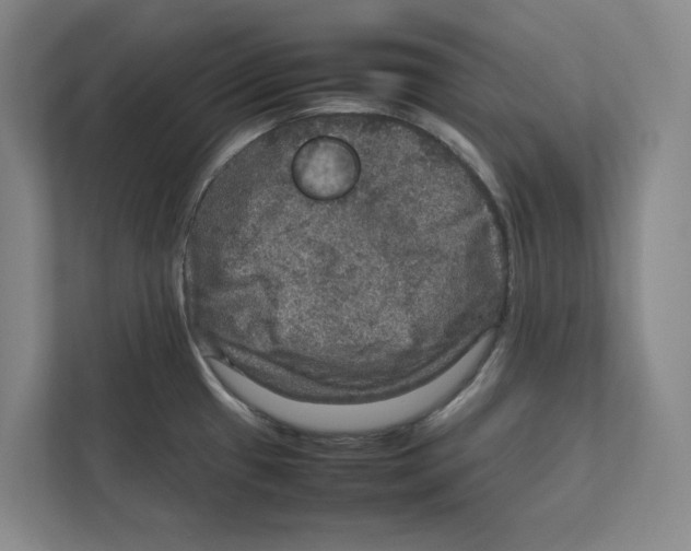 X0000111811433200908201101