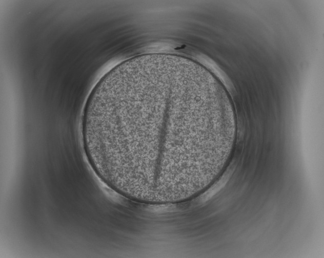 X0000111811434200908201101