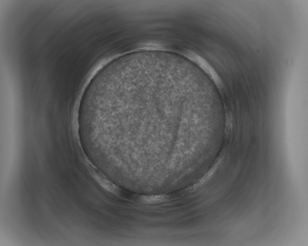 X0000111811435200908201101