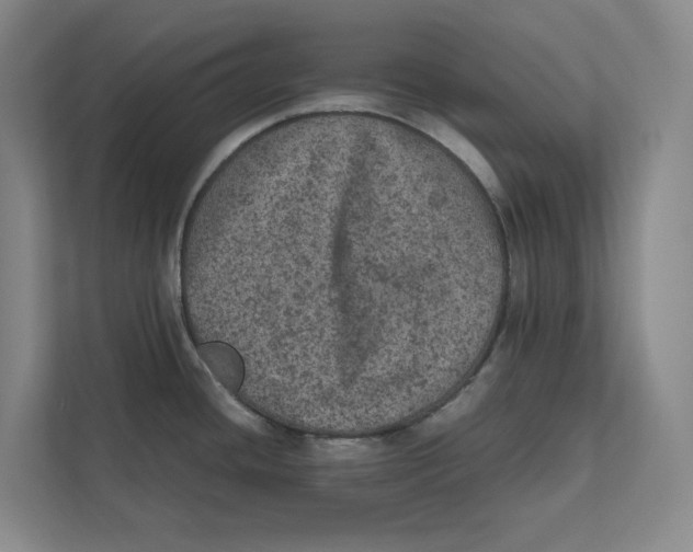 X0000111811436200908201101