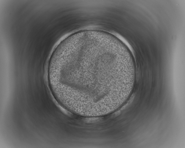 X0000111811437200908201101