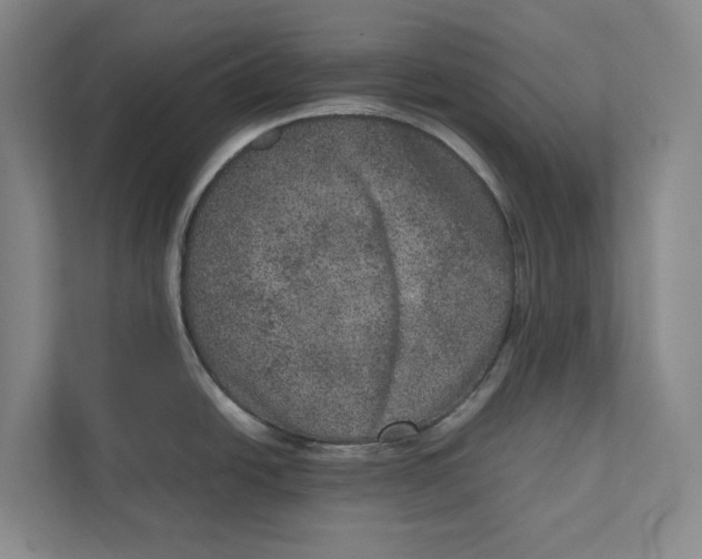 X0000111811438200908201101