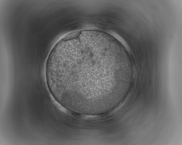 X0000111811439200908201101