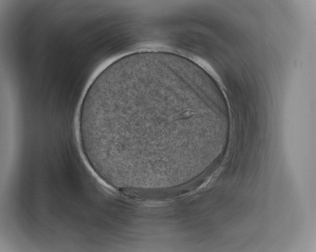 X0000111811440200908201101