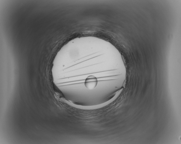 X0000111811441200908201101