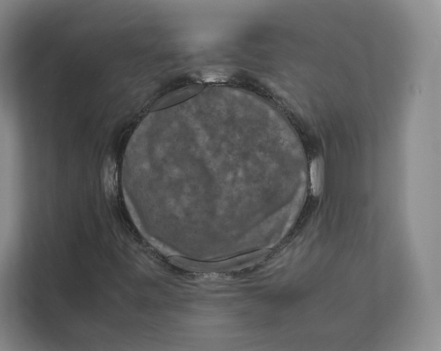 X0000111811443200908201101