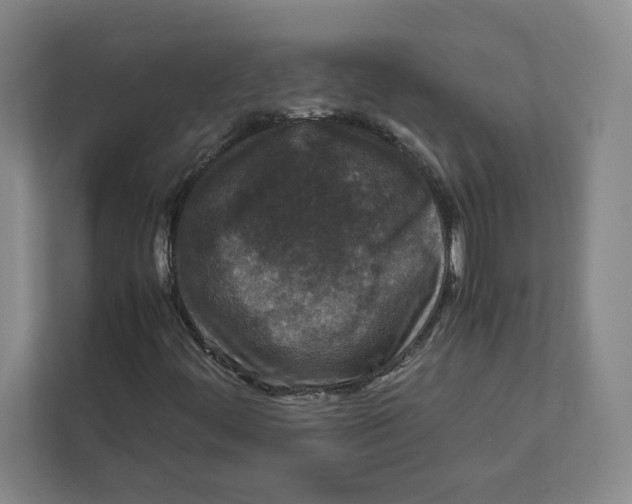 X0000111811444200908201101