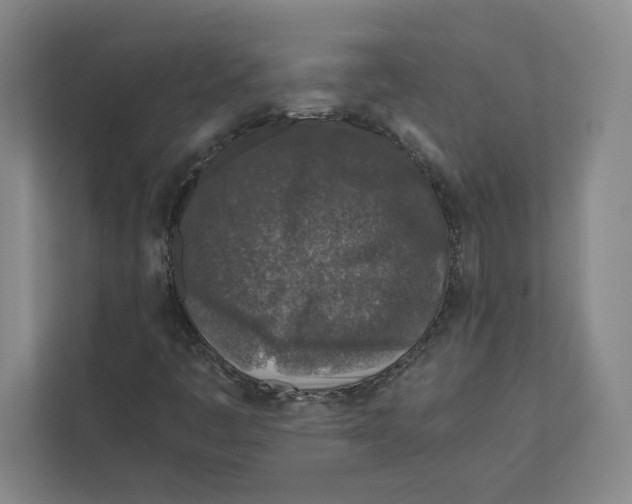 X0000111811445200908201100