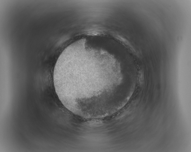 X0000111811446200908201100