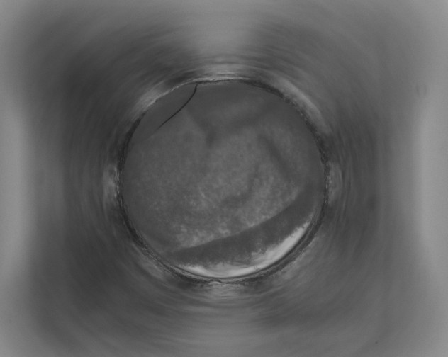 X0000111811449200908201100