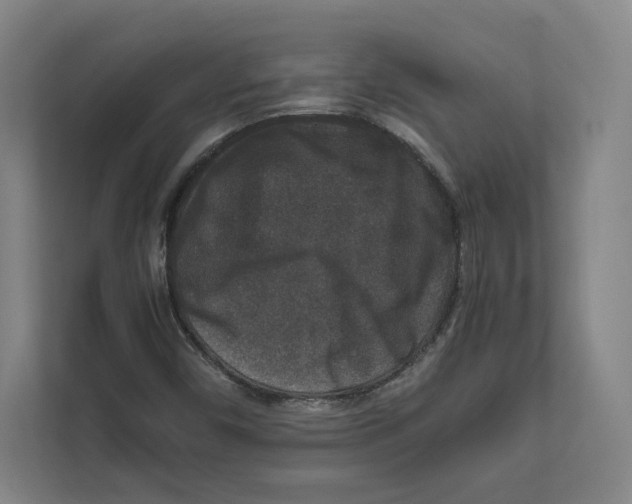 X0000111811450200908201100