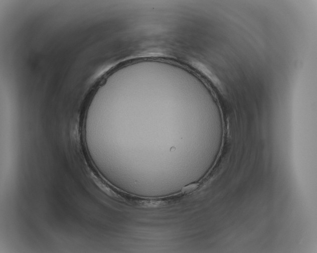 X0000111811452200908201100