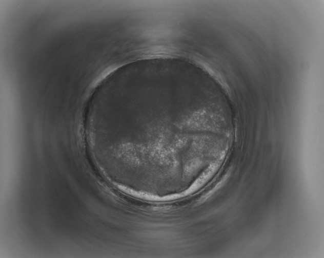 X0000111811453200908201100
