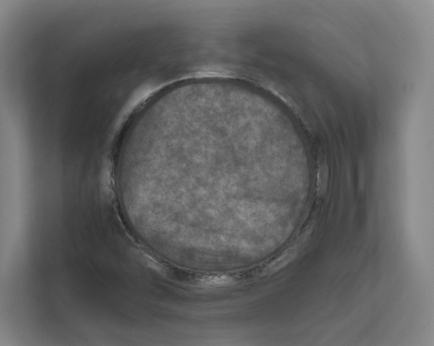 X0000111811454200908201100