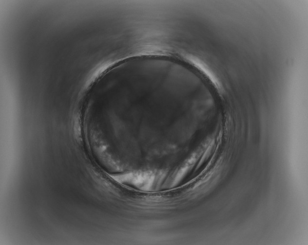 X0000111811455200908201100