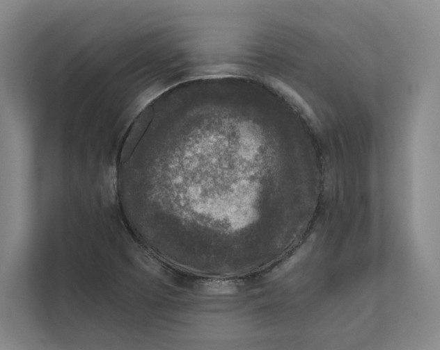 X0000111811457200908201100