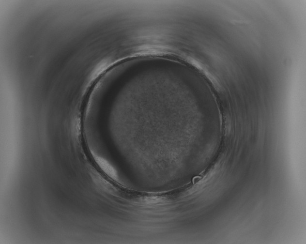 X0000111811459200908201100