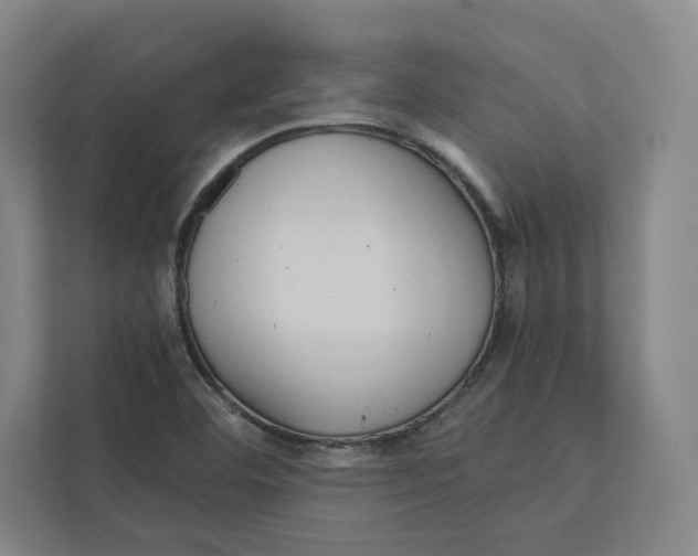 X0000111811460200908201100