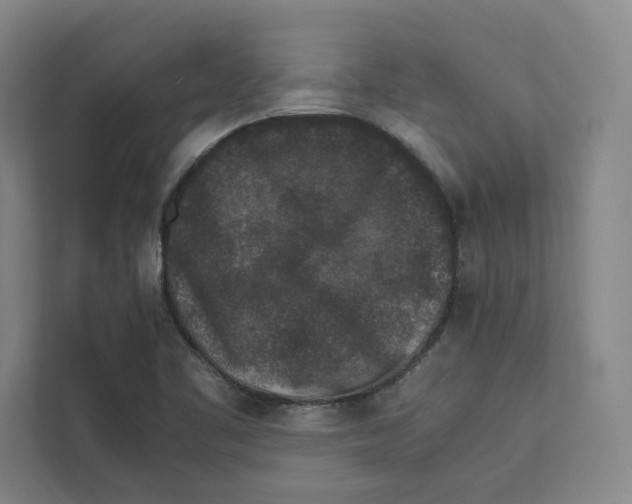X0000111811461200908201100