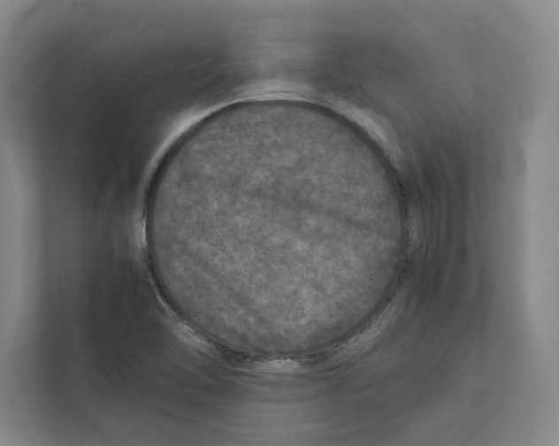 X0000111811462200908201100