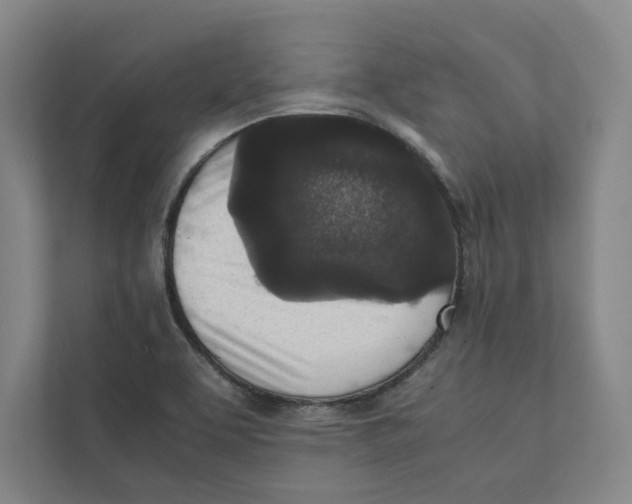 X0000111811463200908201100